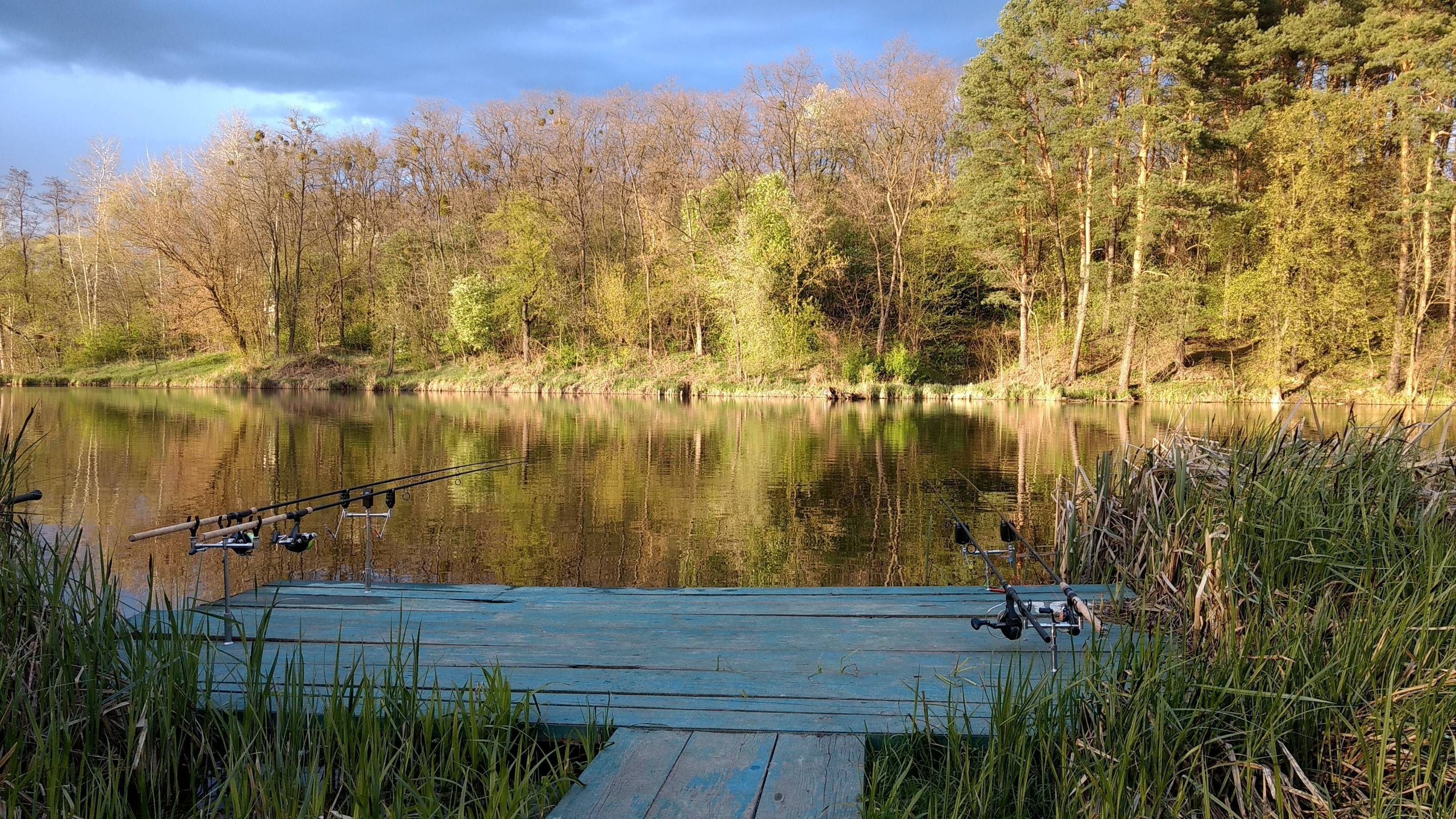 Pond 5. Красивые места для рыбалки. Рыбалка на пруду. Место для рыбалки. Рыбное место фото.